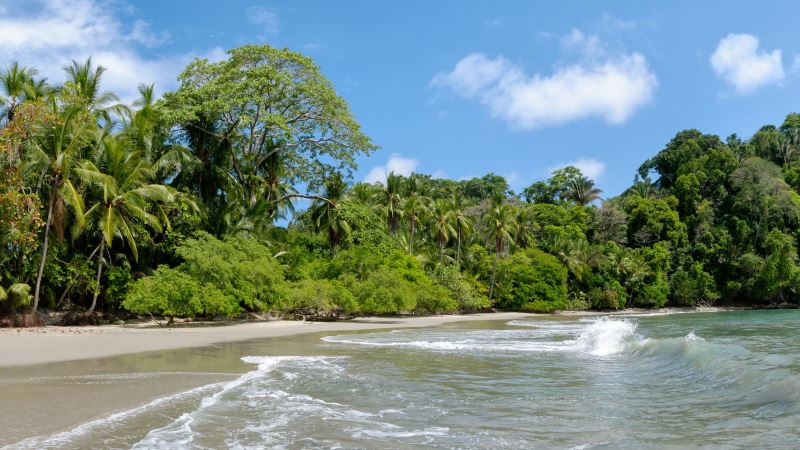 Dominical Beach