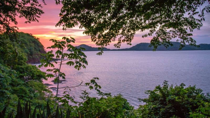 Papagayo El Mangroove