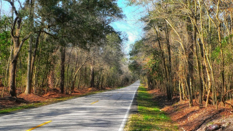 Florence Airport in Amerika