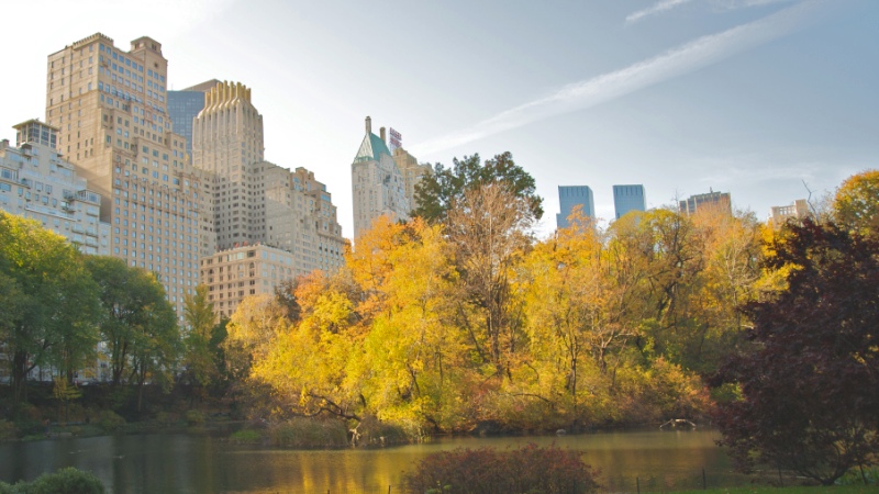 New York Manhattan West 58th Street