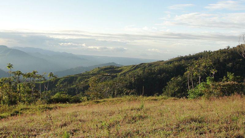 Quepos Downtown