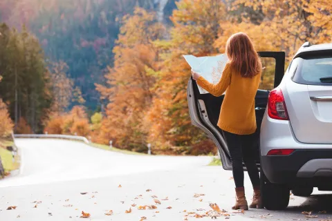 Roadtrip Hersftkleuren